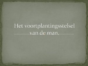 Het voortplantingsstelsel van de man Bij verschillende dieren