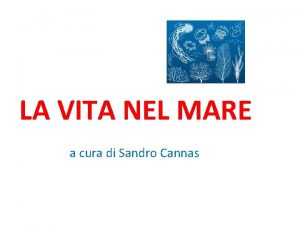 LA VITA NEL MARE a cura di Sandro