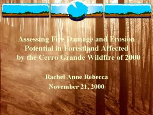 Assessing Fire Damage and Erosion Potential in Forestland