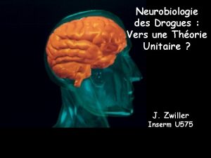 Neurobiologie des Drogues Vers une Thorie Unitaire J