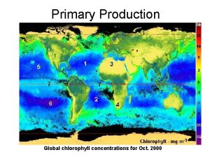 Primary Production Global chlorophyll concentrations for Oct 2000
