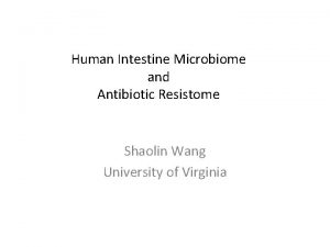 Human Intestine Microbiome and Antibiotic Resistome Shaolin Wang