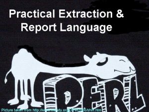 Practical Extraction Report Language Picture taken from http