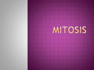 Mitosis is the division of the nucleus resulting