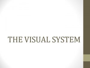 THE VISUAL SYSTEM LIGHT Electromagnetic radiation that travels