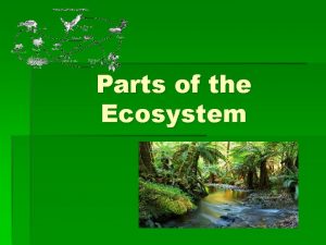 Parts of the Ecosystem ECOSYSTEMS An ECOSYSTEM must