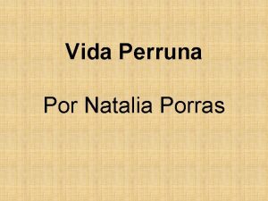 Vida Perruna Por Natalia Porras Abro un ojo