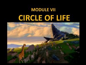 MODULE VII CIRCLE OF LIFE CIRCLES AND SECTORS