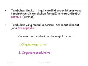 Tumbuhan tingkat tinggi memiliki organ khusus yang terpisah