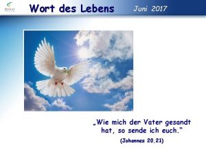 Wort des Lebens Juni 2017 Wie mich der