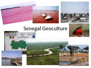 Senegal Geoculture Former French colony country since 1960