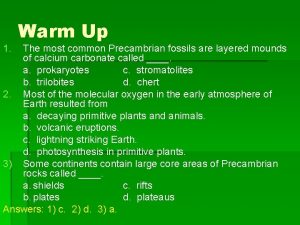 1 Warm Up The most common Precambrian fossils