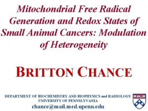 Mitochondrial Free Radical Generation and Redox States of