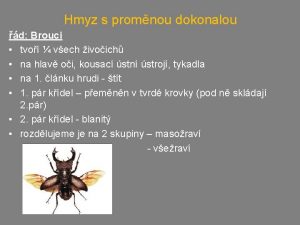 Hmyz s promnou dokonalou d Brouci tvo vech