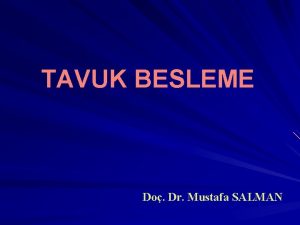 TAVUK BESLEME Do Dr Mustafa SALMAN Enerji ve