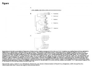 Figure nbsp A Schematic representation of the genome