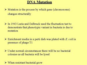 DNA Mutation Mutation is the process by which