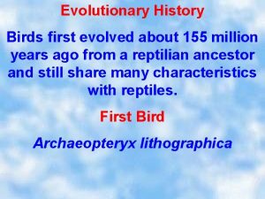 Evolutionary History Birds first evolved about 155 million