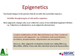 Epigenetics Functional changes to the genome that do