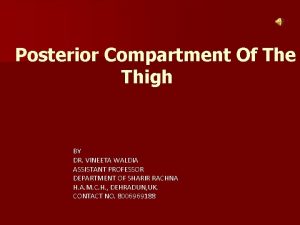 Posterior Compartment Of The Thigh BY DR VINEETA