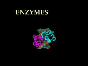 ENZYMES Definition of Enzymes A globular protein which
