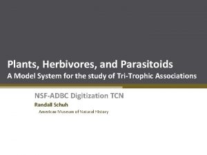 Plants Herbivores and Parasitoids A Model System for