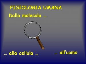 FISIOLOGIA UMANA Dalla molecola alla cellula alluomo ambiente