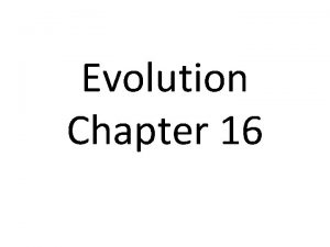 Evolution Chapter 16 Gene Pool Combined genetic information