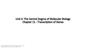 Unit 3 The Central Dogma of Molecular Biology