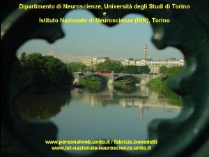 Dipartimento di Neuroscienze Universit degli Studi di Torino