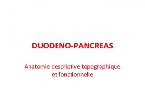 DUODENOPANCREAS Anatomie descriptive topographique et fonctionnelle PLAN INTRODUCTION