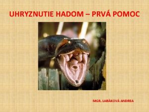 UHRYZNUTIE HADOM PRV POMOC MGR LABKOV ANDREA KDE