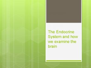 The Endocrine System and how we examine the