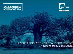 LABOR LEGISLATION LOCAL RECRUITMENT By Gimina Mahumana Langa