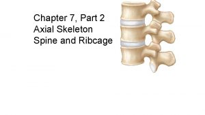 Chapter 7 Part 2 Axial Skeleton Spine and