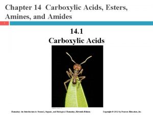 Chapter 14 Carboxylic Acids Esters Amines and Amides