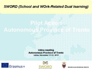SWORD School and WOrkRelated Dual learning Pilot Action