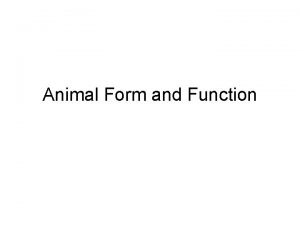 Animal Form and Function Animal challenges Obtain oxygen