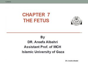 120543 CHAPTER 7 THE FETUS By DR Areefa