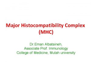 Major Histocompatibility Complex MHC Dr Eman Albataineh Associate