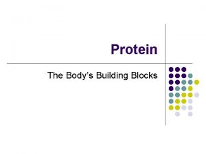 Protein The Bodys Building Blocks What is Protein