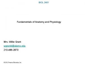 BIOL 2401 Fundamentals of Anatomy and Physiology Mrs