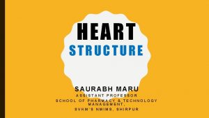 HEART STRUCTURE SAURABH MARU ASSISTANT PROFESSOR SCHOOL OF