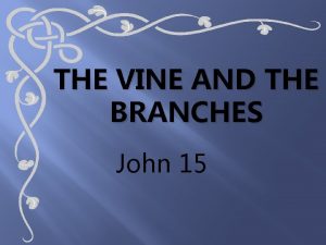 THE VINE AND THE BRANCHES John 15 John