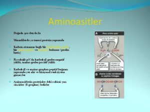 Aminoasitler Doada 300 den fazla Memelilerde 20 tanesi