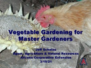 Vegetable Gardening for Master Gardeners Jeff Schalau Agent