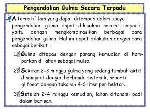 Pengendalian Gulma Secara Terpadu Alternatif lain yang dapat