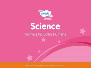 Science Animals Including Humans Year One Science Year