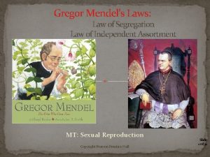 Gregor Mendels Laws Law of Segregation Law of