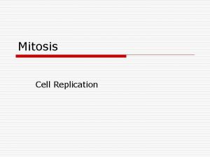 Mitosis Cell Replication Cell Replication o o During